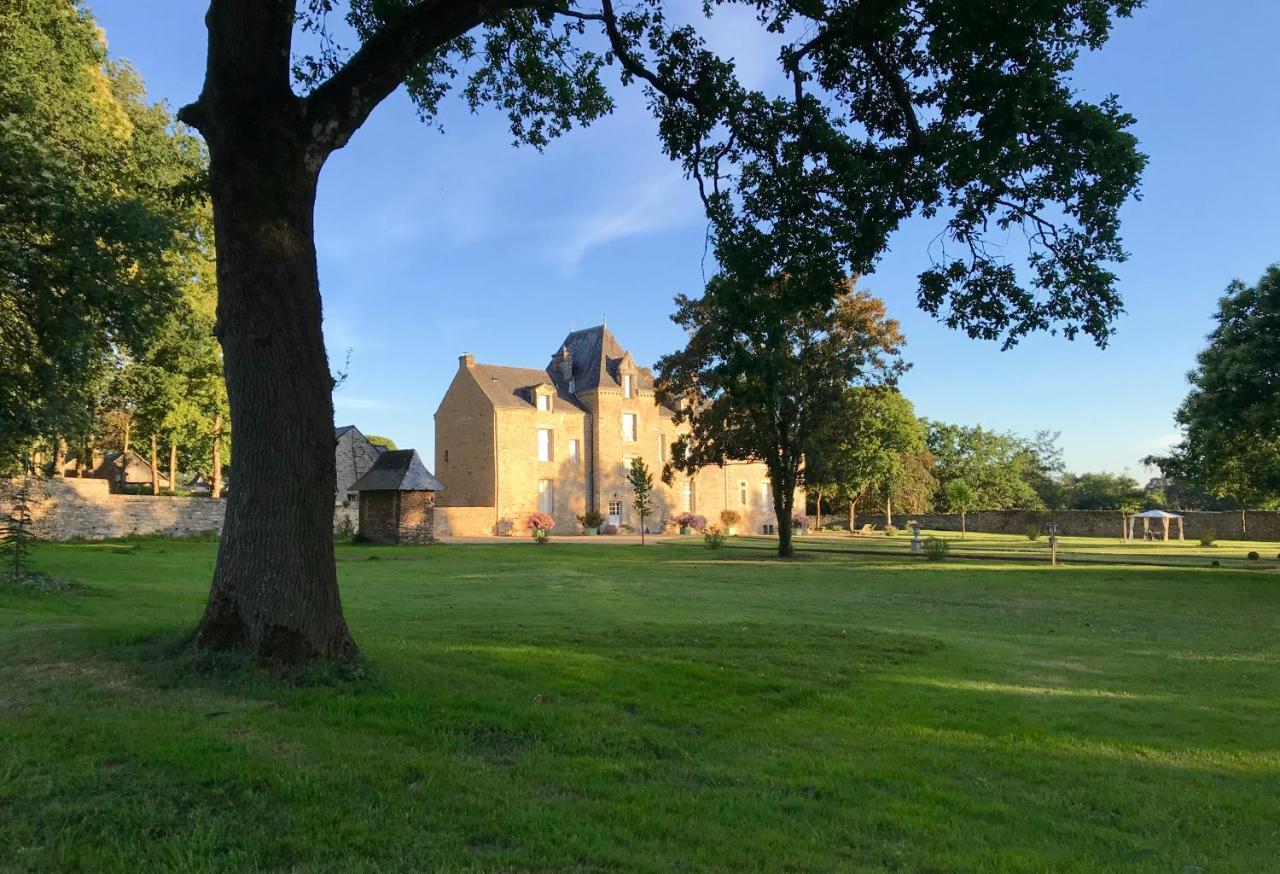 Château de Cadouzan Saint-Dolay Exterior foto