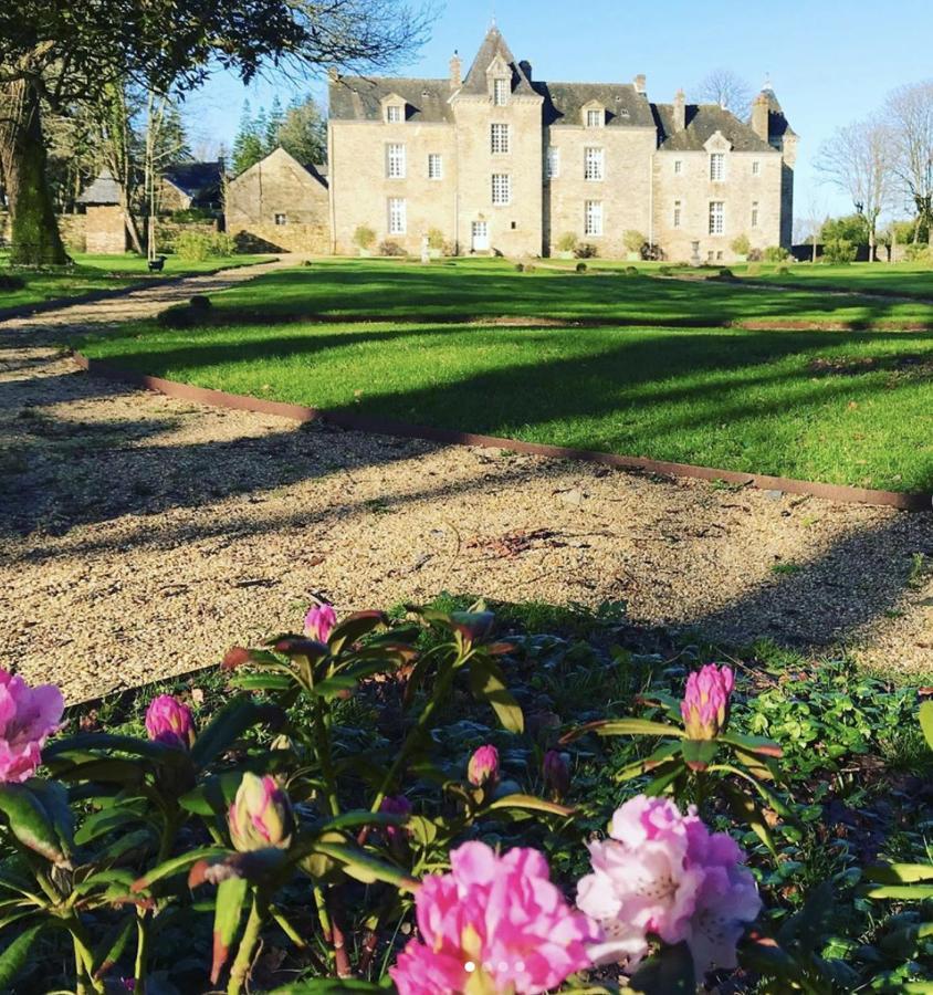 Château de Cadouzan Saint-Dolay Exterior foto